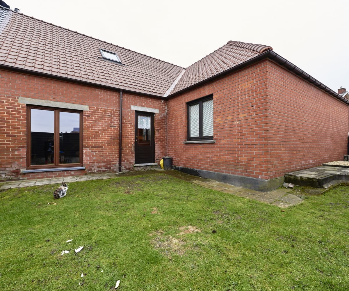 Dakrenovatie-ingelmunster-renoffice