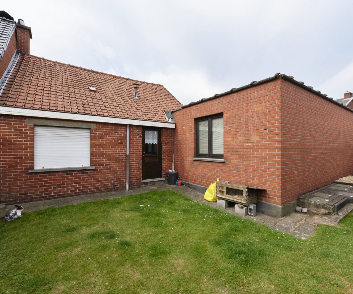 Dakrenovatie-ingelmunster-renoffice